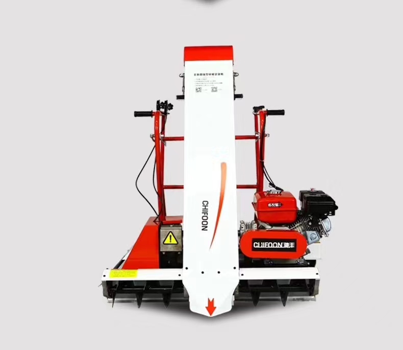 Ship to Nansha Port, Guangzhou, China.