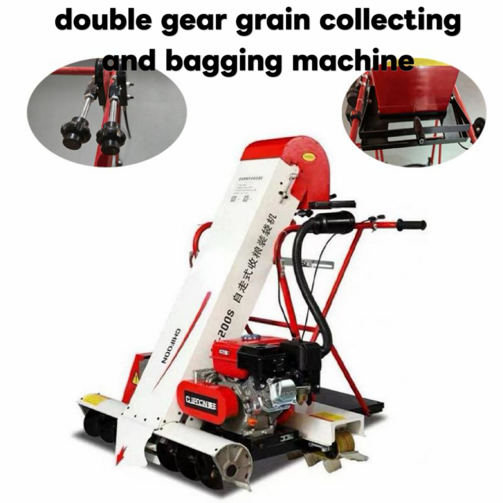 Double gear grain bagging 